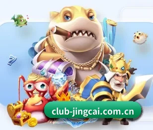 竞彩网围绕看球场景设计的核心服务 - 多运动项目内容板块